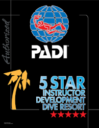 PADI 5 スター