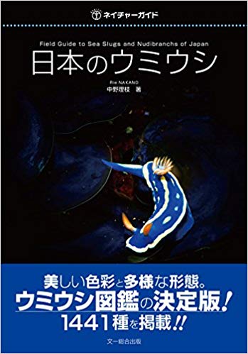 日本のウミウシ