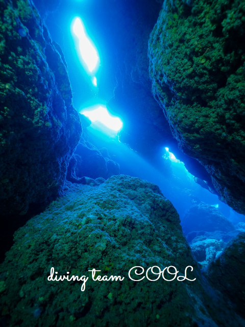 ケラマ諸島体験ダイビング　洞窟