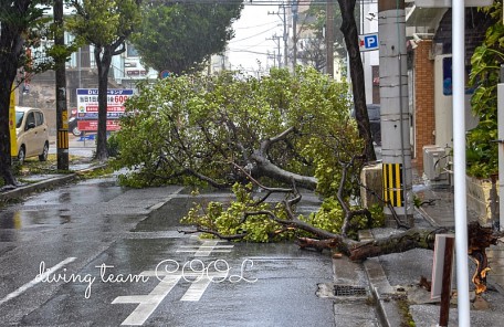 沖縄 台風の爪痕