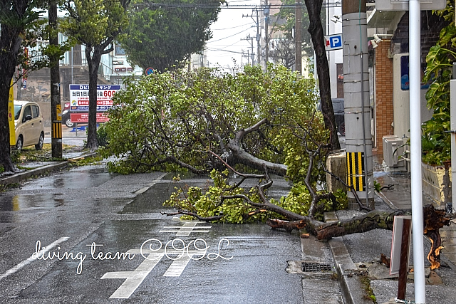 沖縄 台風の爪痕