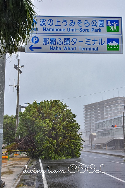 沖縄 台風の爪痕