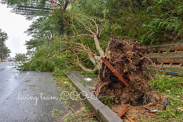 沖縄 台風の爪痕