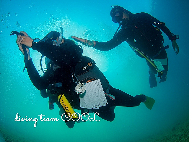 沖縄 PADIインストラクター開発コース