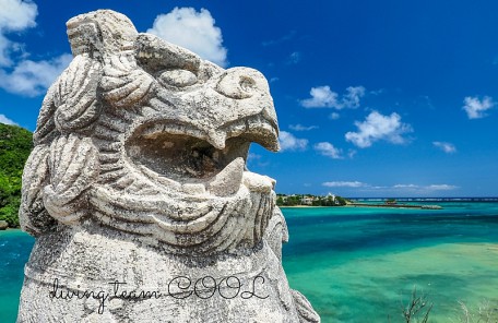 沖縄写真　シーサー