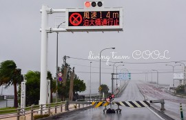 沖縄ダイビング 泊大橋