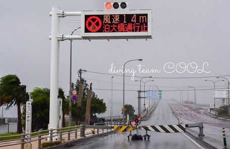 沖縄ダイビング 泊大橋