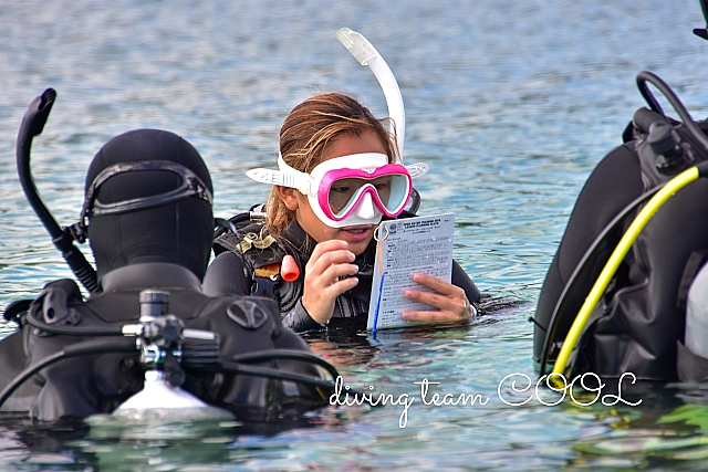 沖縄おき PADI インストラクター開発コース