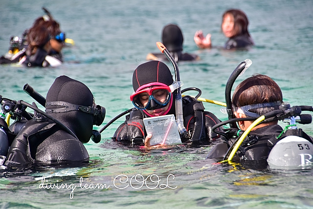 沖縄 PADI インストラクター開発コース