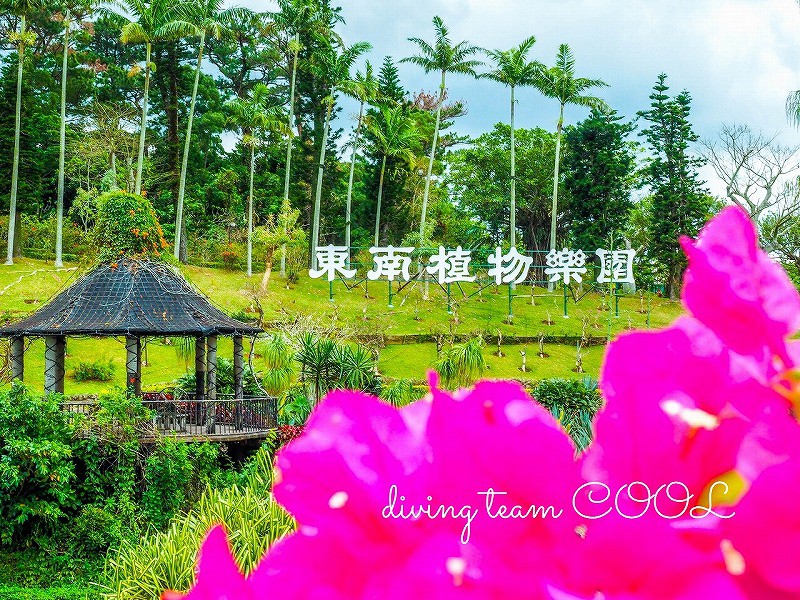 東南植物楽園　ブーゲンビレア