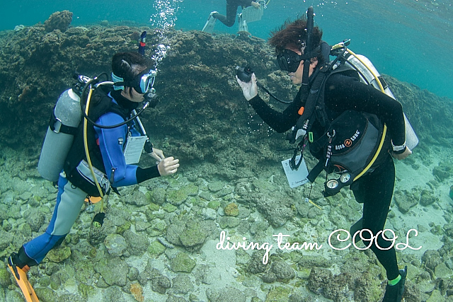 沖縄 PADI インストラクター開発コース