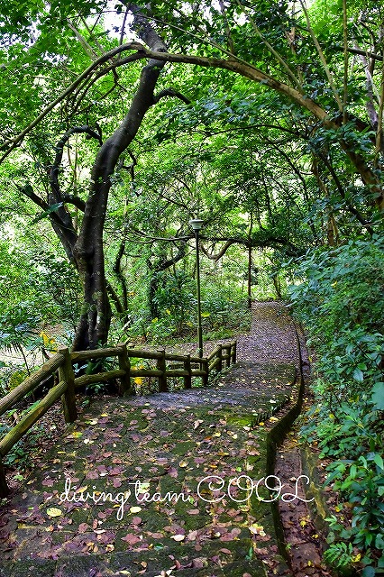 沖縄　末吉公園