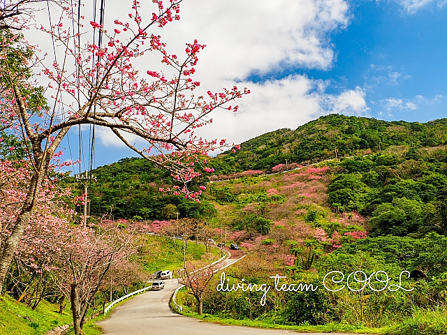 沖縄八重岳