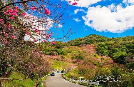 沖縄八重岳