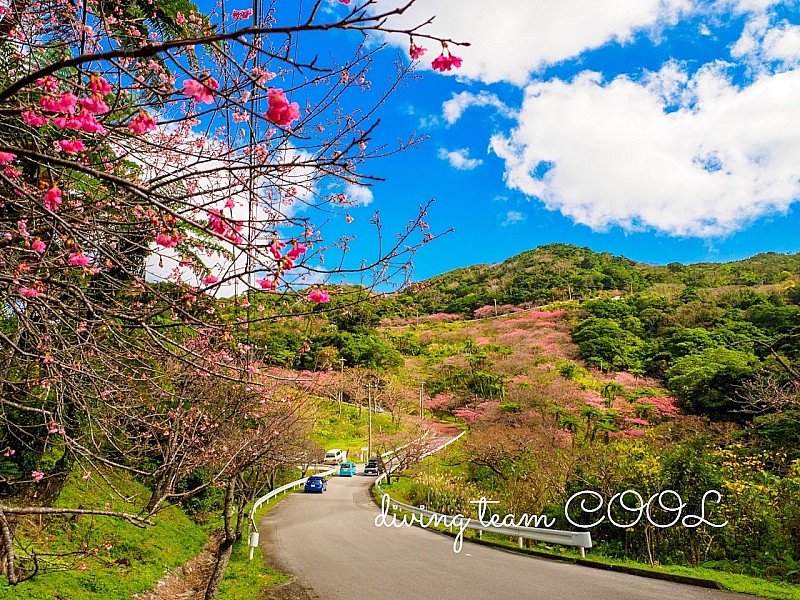 沖縄八重岳