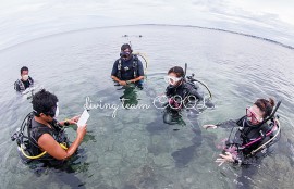 ＃padi インストラクター開発コース