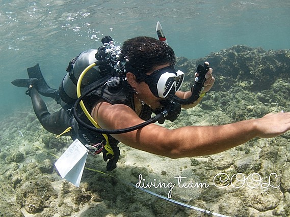 padi インストラクター開発コース #padi インストラクター開発コース