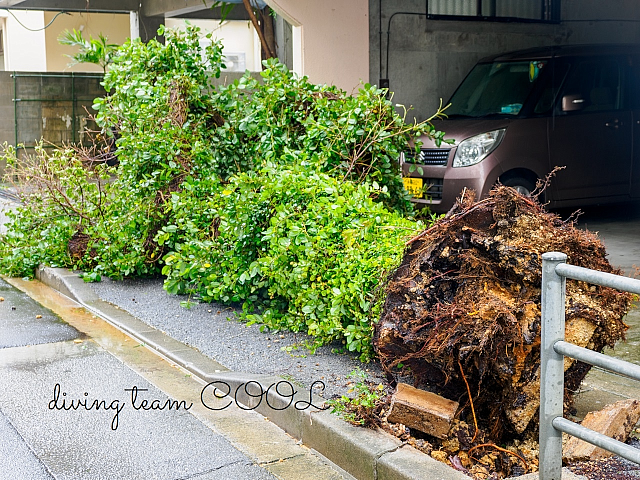 台風の爪痕