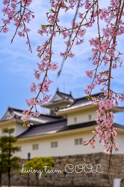 富山城