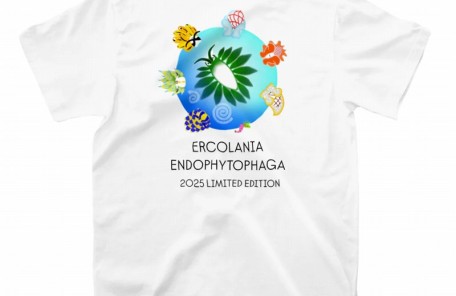 ウミウシＴシャツ