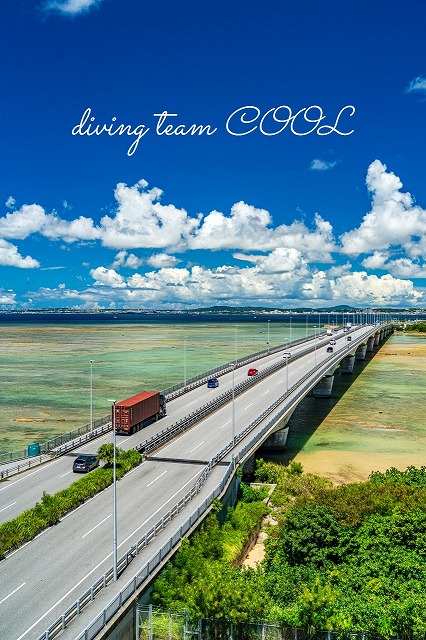 沖縄西海岸道路