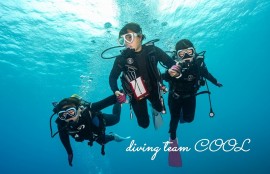 ケラマ諸島体験ダイビング