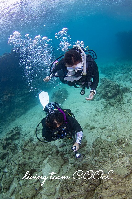 PADIインストラクターコース