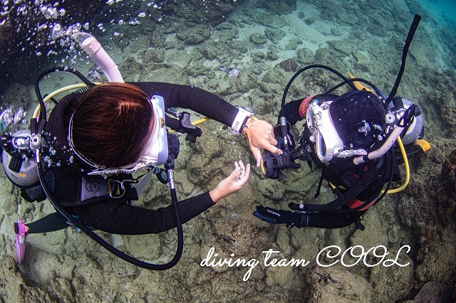 PADIインストラクターコース