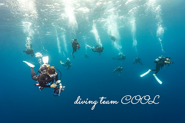 与那国ダイビング