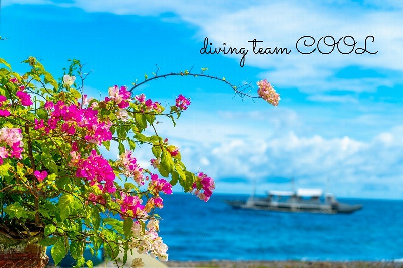 ドゥマゲッティ